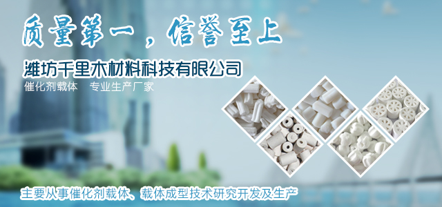 催化剂载体